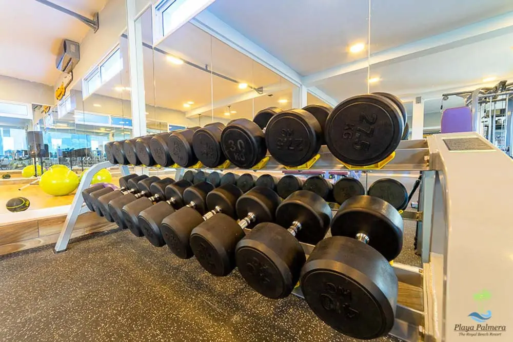 A close-up of the dumbbells at Palmera Fitness
